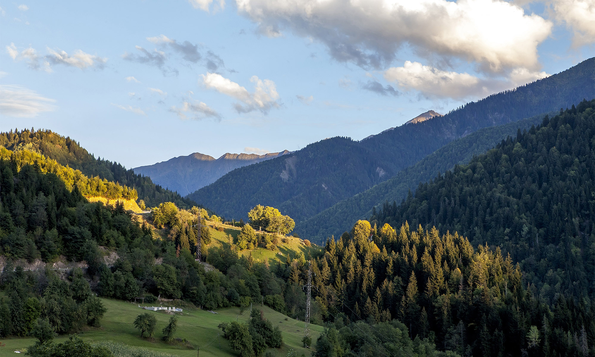 Elizabeth's Eulogies